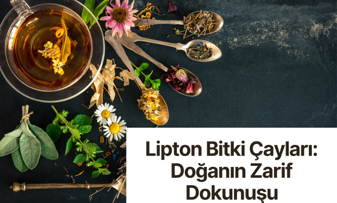 Bitki Çayları Bitki Çayları