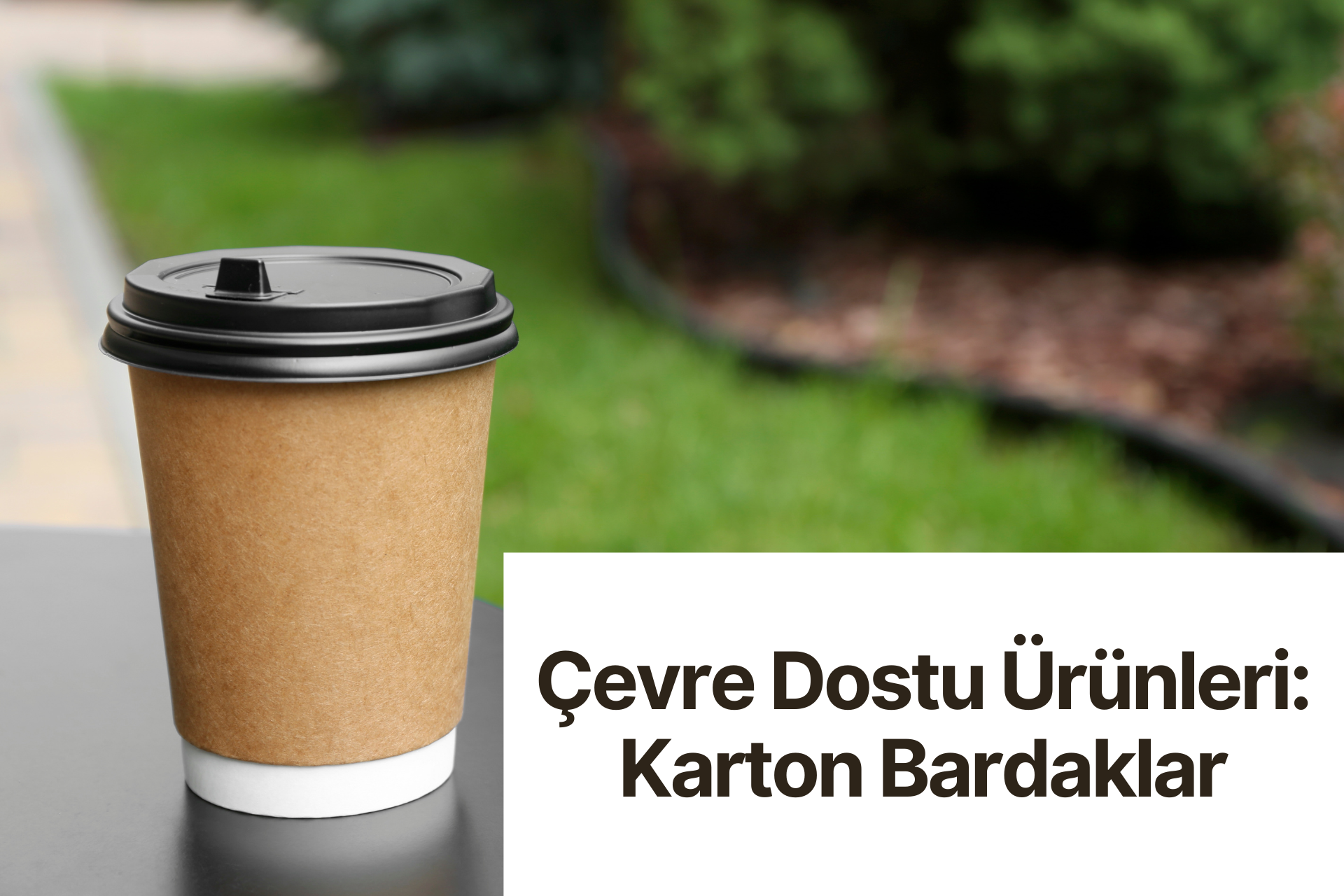 Karton Bardaklar